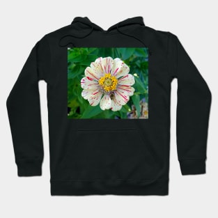 Zinnia Guest Hoodie